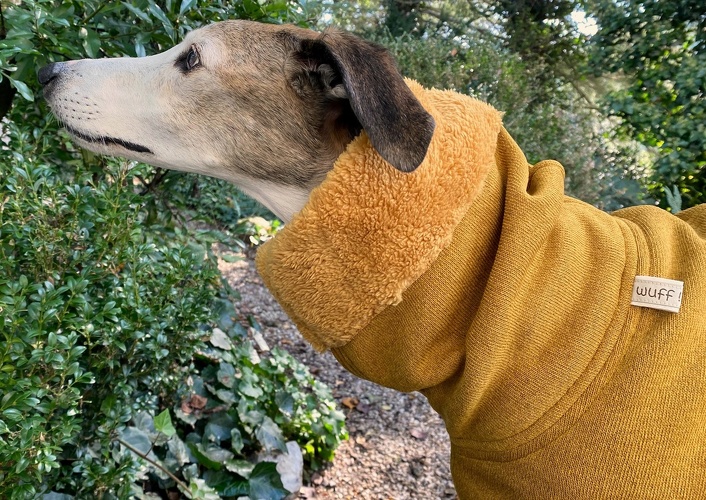 Veranschaulichung Doubleface-Strickfleece in Senf-Gelb, hier als Langkragen