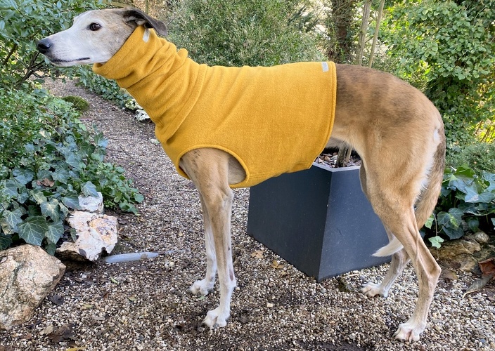 Mantel + Body/Halsstulpen-Kombi, Fleece Curry-Senf, Bestellnummer: SOG/H+B-SGEM/CS-L/XL, Preis: 112,00€