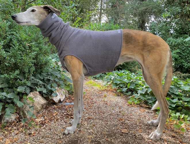Mantel + Body/Halsstulpen-Kombi, Fleece Graphit-Grau, Bestellnummer: RG/H+B-GRA-L/XL, Preis: 117,00€