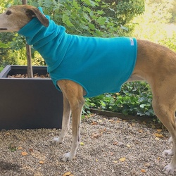 Sofort lieferbare Mäntel in Größe: L/XL