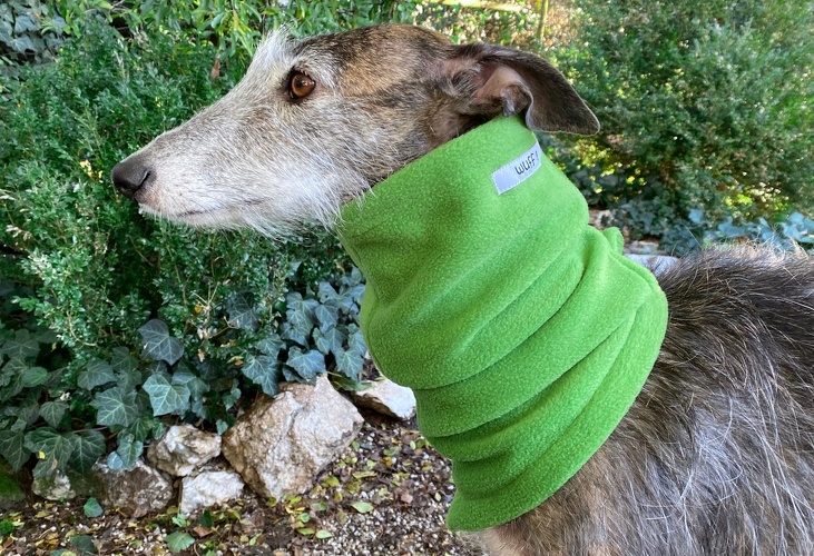 Einlagig mit Einschlitzung für Halsband, Fleece: Apfelgrün, Bestell-Nr.: HW/S-APFGR, Preis: 13,50€