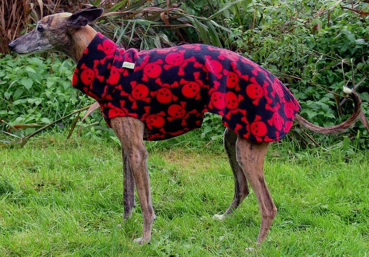 2 MAL SOFORT LIEFERBAR, Fleece: Totenköpfe-Rot, Bestell-Nr.: PW-TOT/R-S, Preis: 37,00€