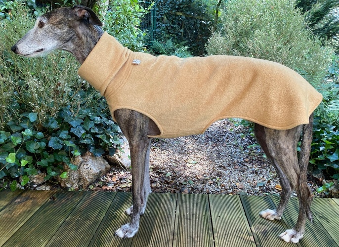 Fleece: Camel, Bestell-Nr.: PW-CA-L, Preis: 37,00€