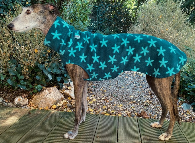Sternblumen-Petrol, Material-Nummer: FG-87