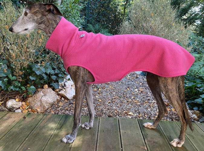Fleece: Pink, Bestell-Nr.: PW-P-L, Preis: 37,00€