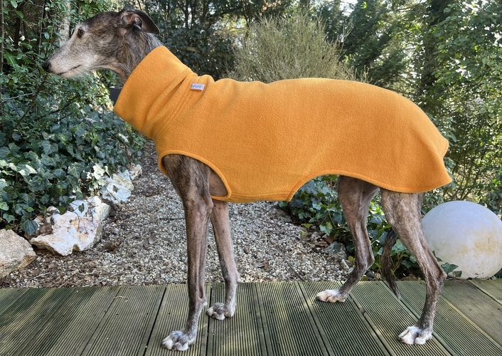 Fleece: Honig, Bestell-Nr.: PG-HON-XL, Preis: 39,50€