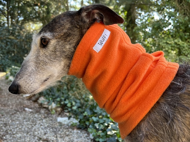 Orange, Material-Nummer: F-8