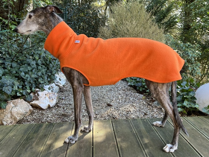 Fleece: Orange, Bestell-Nr.: PG-O-M, Preis: 39,50€