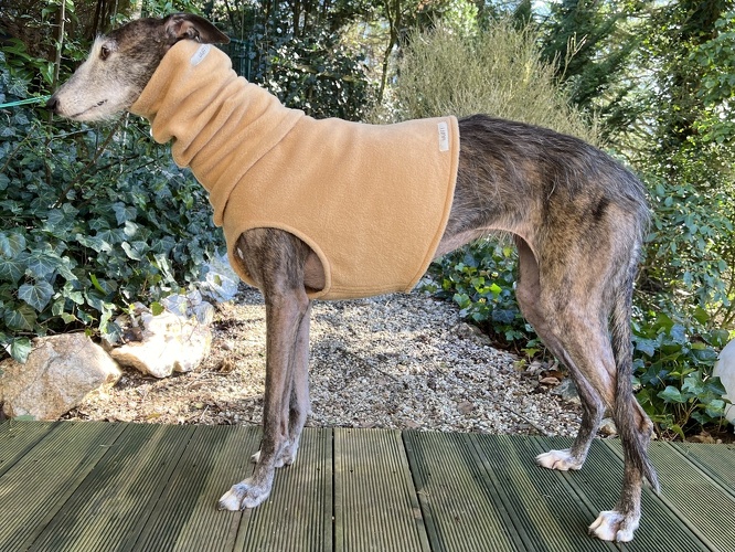 Fleece: Camel, Bestell-Nr.: B/HG-CA-S, Preis: 35,00€