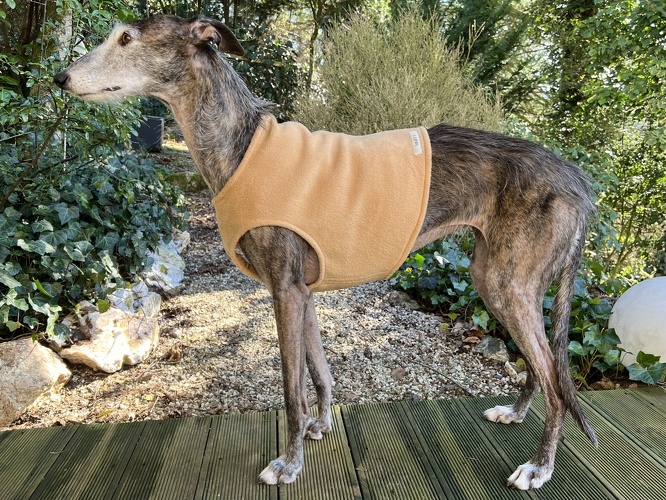 Camel, Material-Nummer: F-3