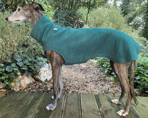 Fleece: Petrol, Bestell-Nr.: PW-PE-M, Preis: 37,00€