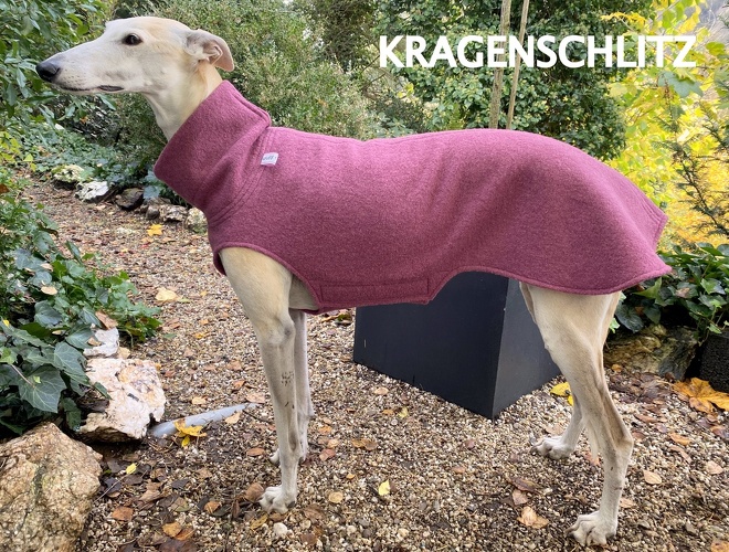 Walk: Beere, Standardkragen, Einschlitzung Kragen, Bestell-Nr.: WW/S-BEE-M, Preis: 67,75€